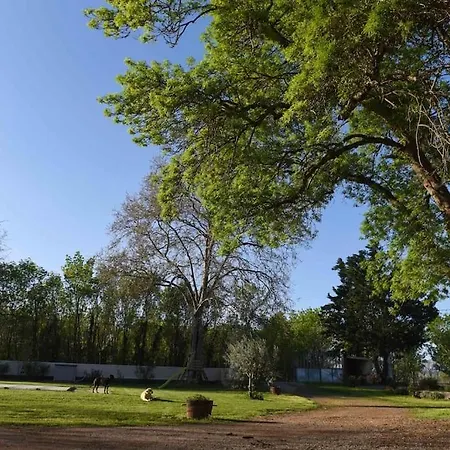 Un Mas Au Milieu Des Vignes A 10 Minutes De La *